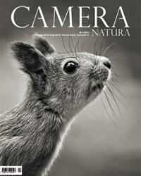 Camera Natura 4/2013