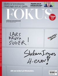 Fokus 2/2013
