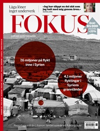 Fokus 36/2015