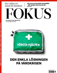 Fokus 4/2013