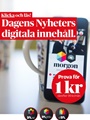 Hemtrevligt 6/2008