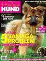 Härliga Hund 11/2010