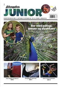 Aftenposten Junior (NO) 38/2025