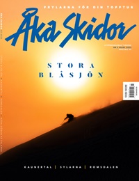 Åka Skidor 3/2025