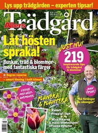 Allers Trädgård 10/2017