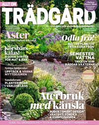 Allt om Trädgård 11/2025
