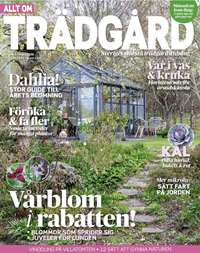 Allt om Trädgård 4/2026