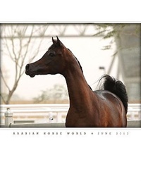 Arabian Horse World (UK) 6/2013