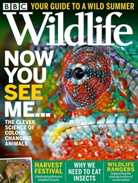 BBC Wildlife (UK) (UK) 8/2021