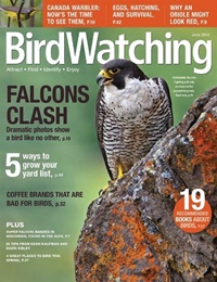 Bird Watching (UK) 6/2013