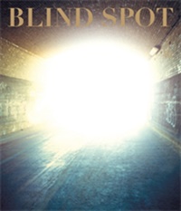 Blind Spot New York, Ny (UK) 7/2009