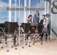 Business Insurance (UK) 7/2009