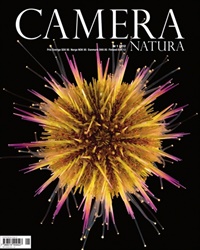 Camera Natura 1/2012
