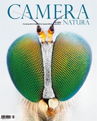 Camera Natura 4/2012