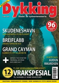 Dykking (NO) 2/2015