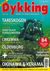 Dykking (NO) 4/2015