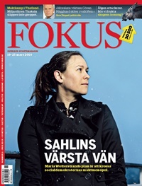Fokus 11/2010