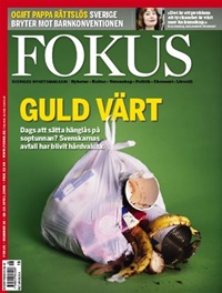 Fokus 16/2008