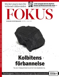 Fokus 17/2017