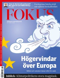 Fokus 19/2024