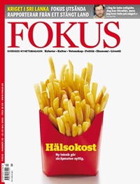 Fokus 20/2009