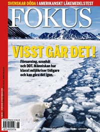 Fokus 5/2007