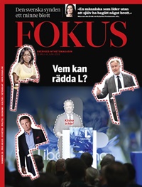 Fokus 23/2019