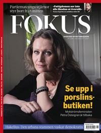 Fokus 26/2017