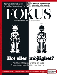 Fokus 37/2017