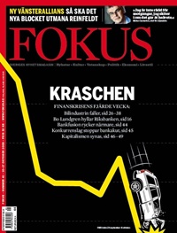 Fokus 41/2008