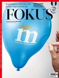 Fokus 41/2013