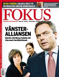 Fokus 42/2008