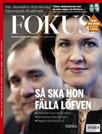 Fokus 55/2015