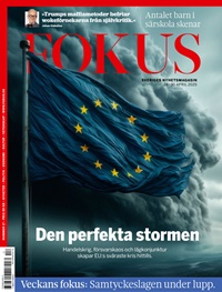 Fokus Digitalt 17/2025
