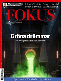 Fokus Digitalt 19/2025