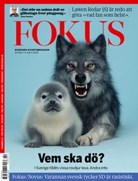 Fokus Digitalt 22/2025