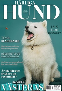 Härliga Hund 9/2024