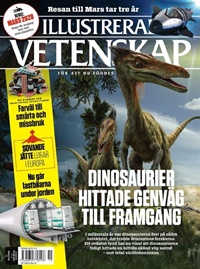 Illustrerad Vetenskap 15/2025