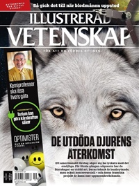Illustrerad Vetenskap 19/2025