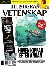 Illustrerad Vetenskap 11/2025
