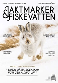 Jaktmarker & Fiskevatten 11/2024