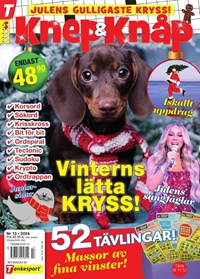 Knep & Knåp 13/2024