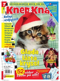 Knep & Knåp 13/2025