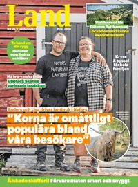 Land 52/2025
