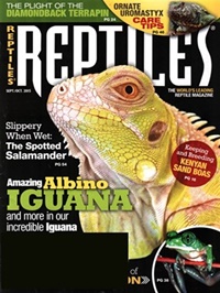 Reptiles (US) (UK) 9/2015