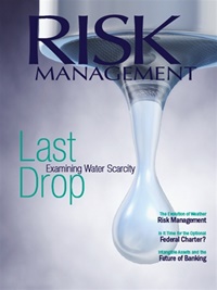 Risk Management Magazine (UK) 7/2009