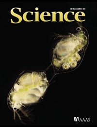 Science (UK) 4/2012