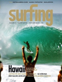 Surfing 4/2008