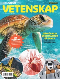SvD Junior Vetenskap 2/2025