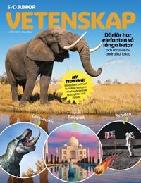 SvD Junior Vetenskap 1/2024